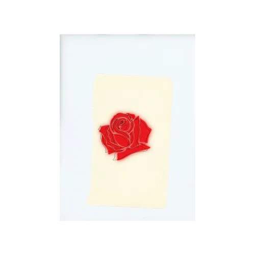Cover of LANY – LANY