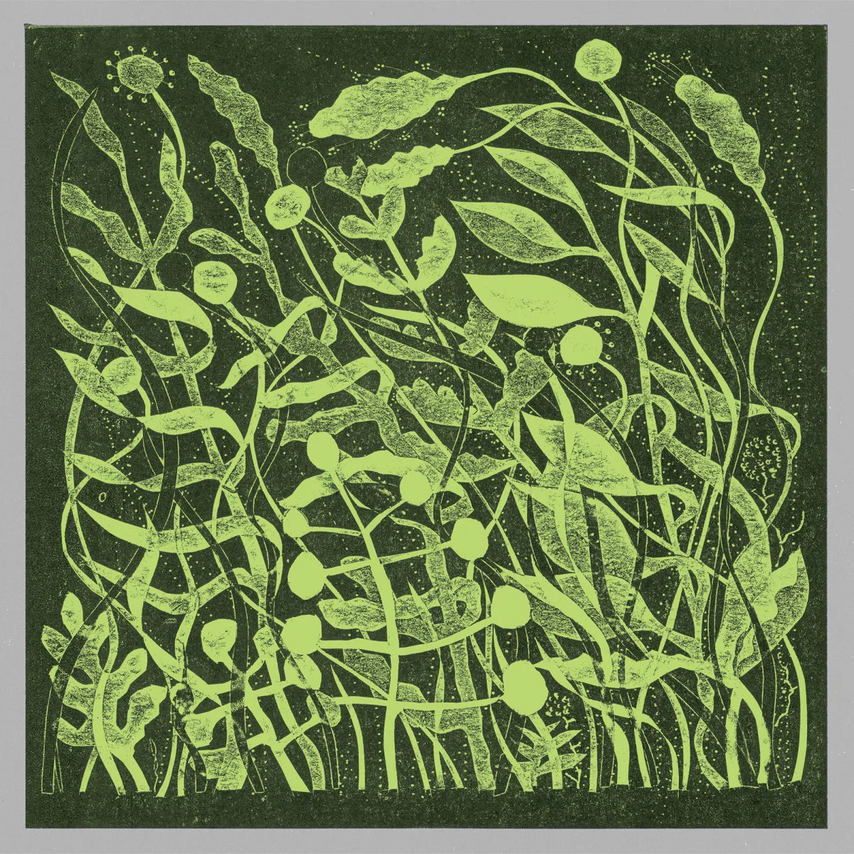 Obal alba Kirk Barley – Lux