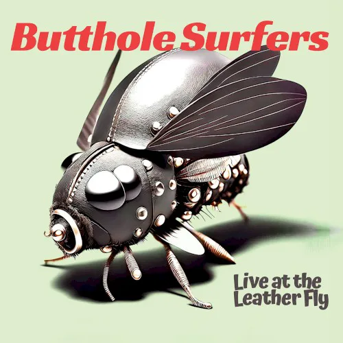 Cover of Butthole Surfers – Live at the Leather Fly
