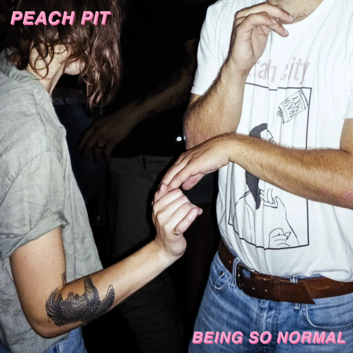 Cover of Being So Normal