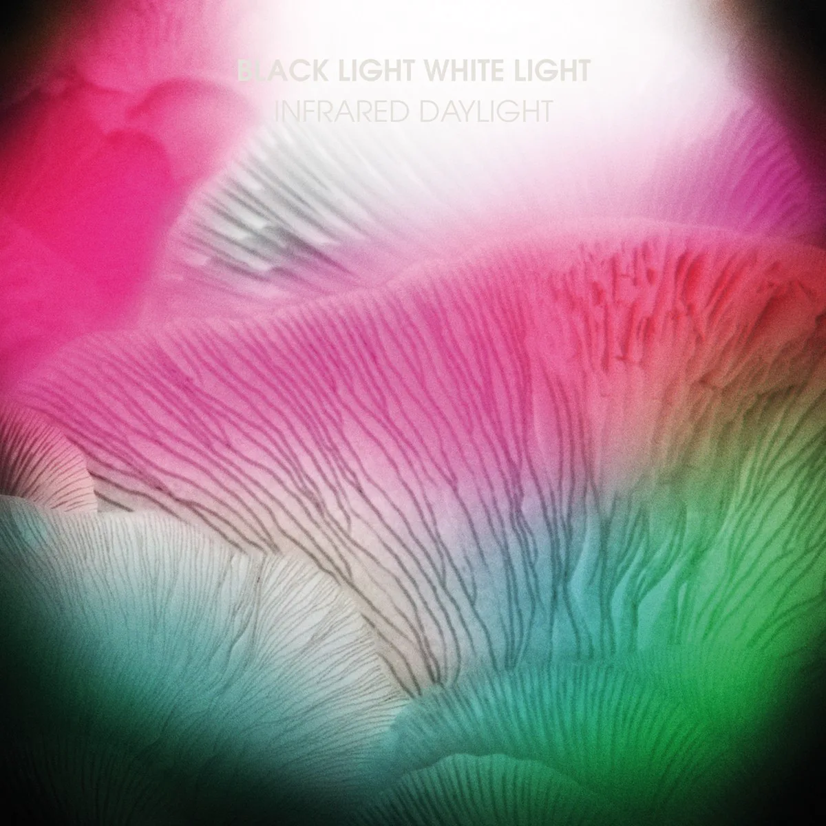 Obal alba Black Light White Light – Infrared Daylight