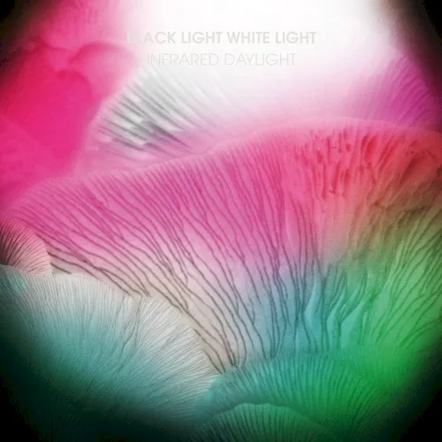 Black Light White Light