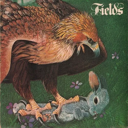 Obal alba Fields – Fields