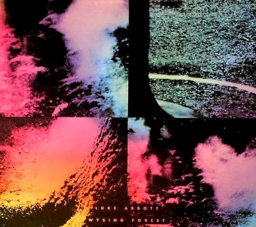 Cover of Luke Abbott – Wysing Forest