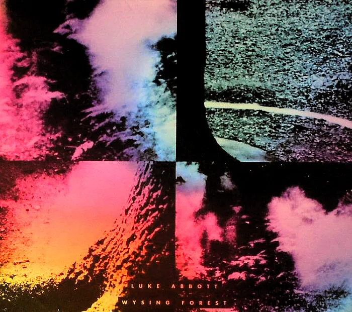 Cover of Luke Abbott – Wysing Forest