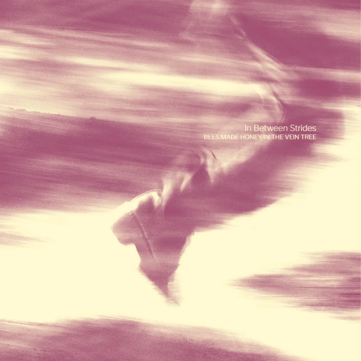 Cover of In Between Strides
