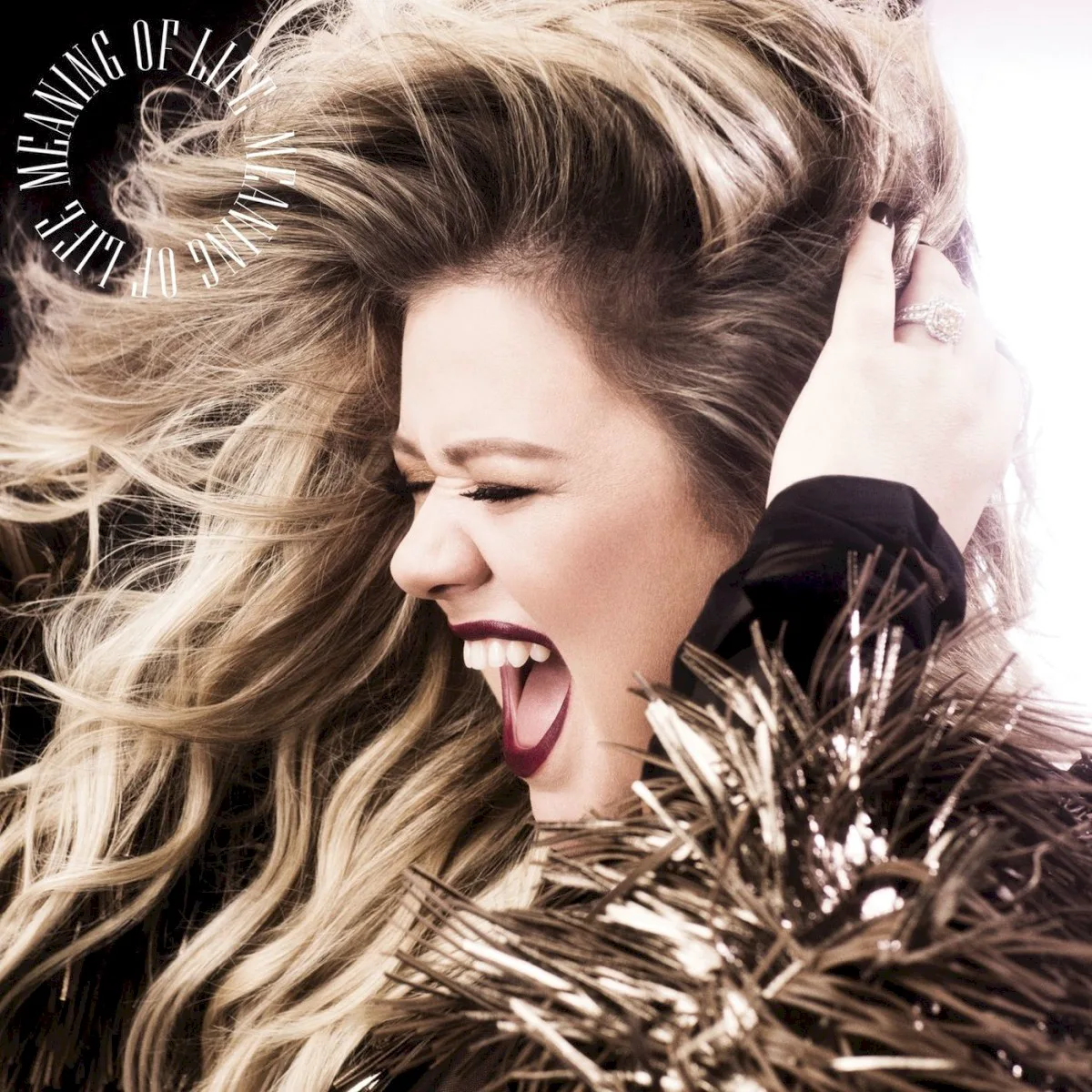 Cover of Kelly Clarkson – Meaning of Life
