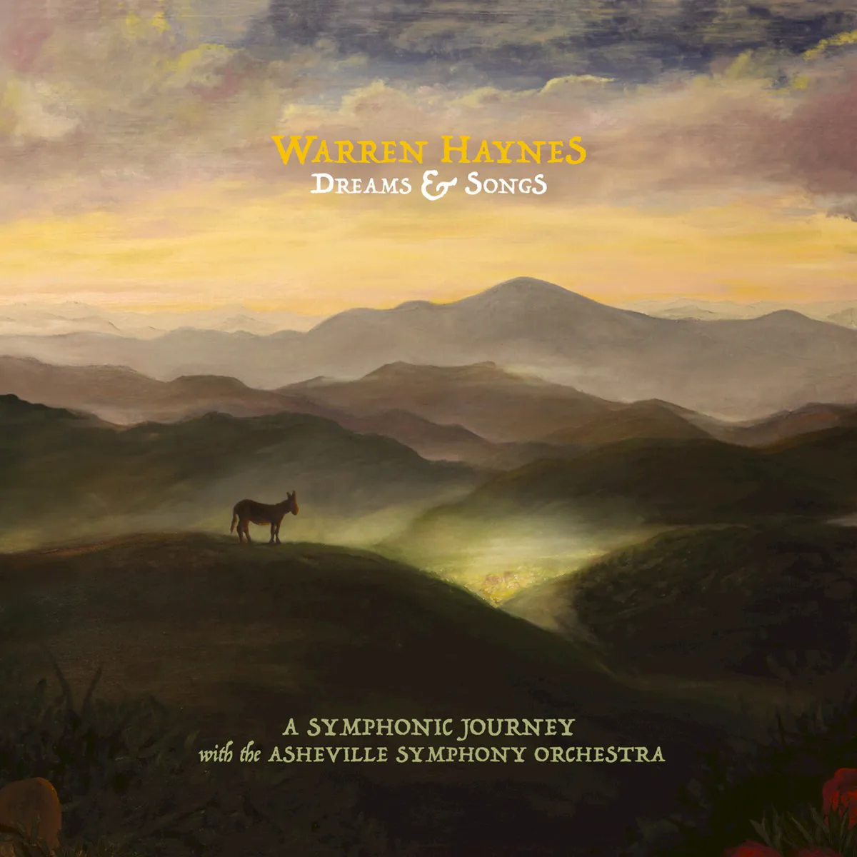 Obal albumu Warren Haynes – Dreams & Songs