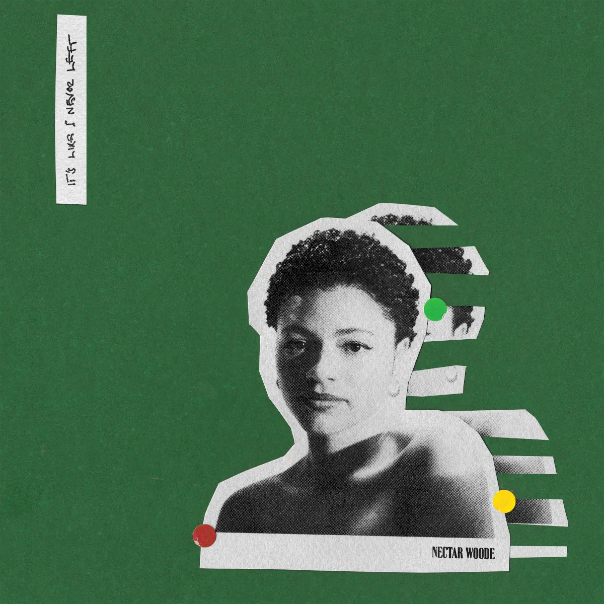 Cover of it’s like I never left