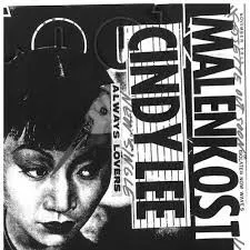 Cover of Malenkost