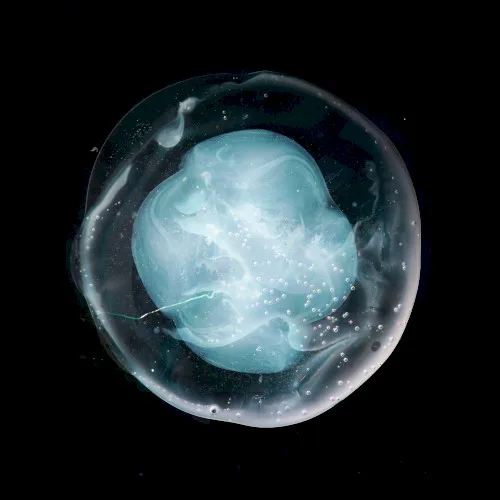 Cover of A Winged Victory for the Sullen – The Undivided Five