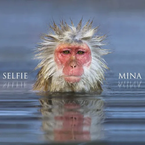 Cover of Mina – Selfie