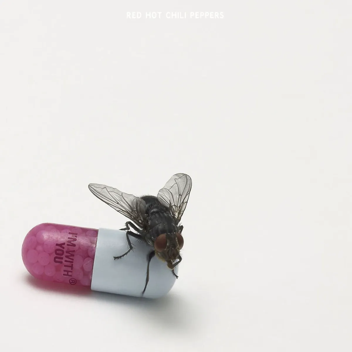 Cover of I’m With You