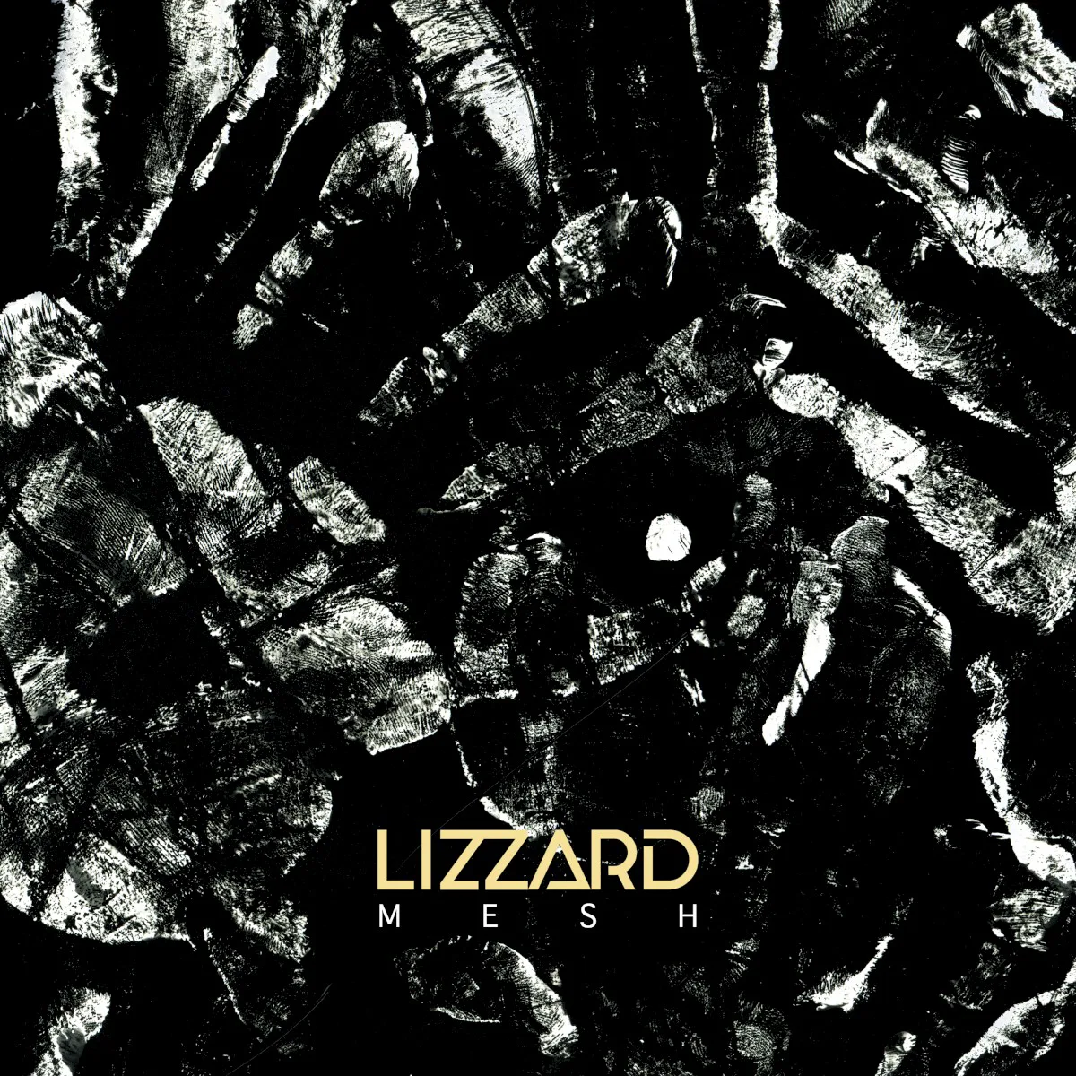Obal albumu Lizzard – Mesh