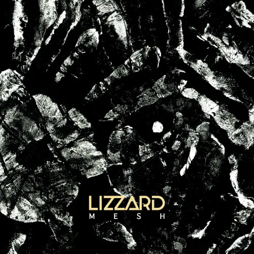 Obal alba Lizzard – Mesh