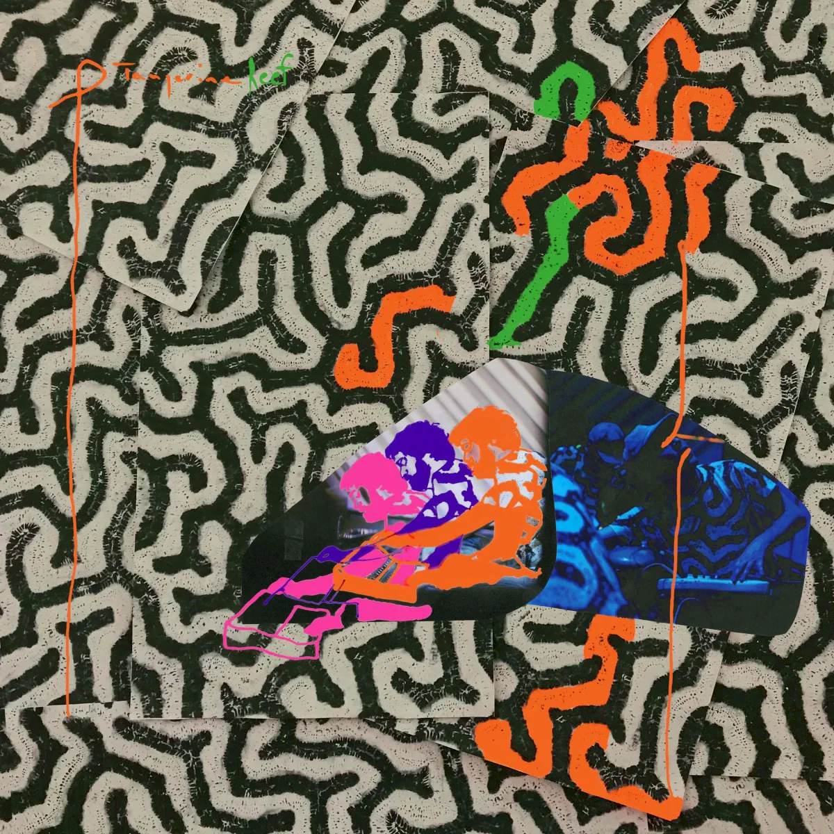 Cover of Animal Collective – Tangerine Reef