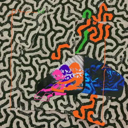 Cover of Animal Collective – Tangerine Reef