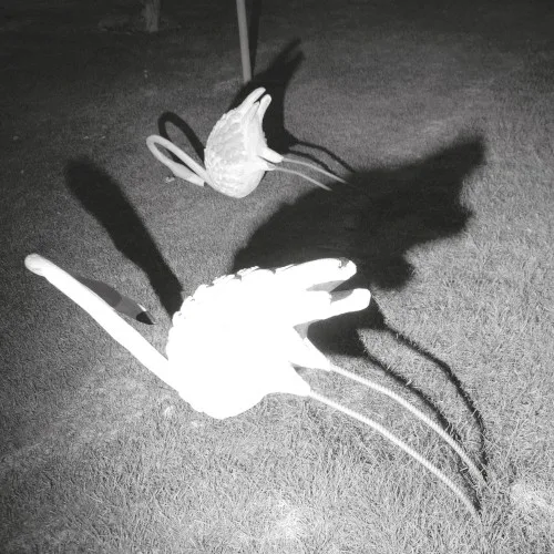Cover of Siavash Amini – A Mimesis of Nothingness
