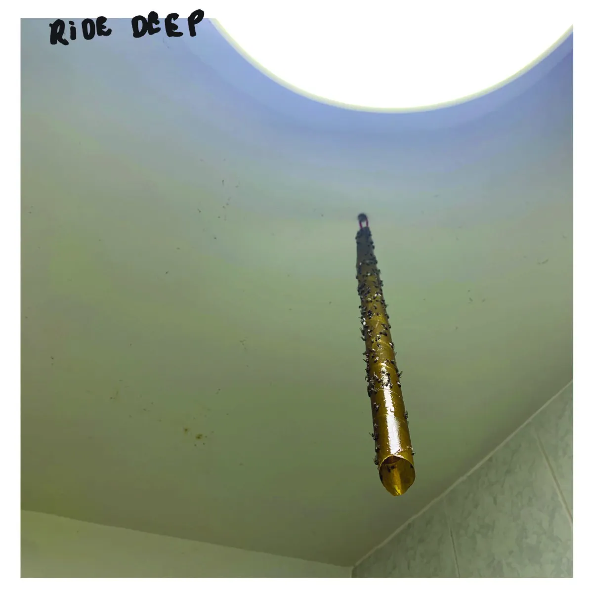 Obal albumu Shaemless – Ride Deep