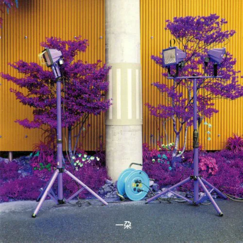 Cover of 石橋英子, Darin Gray – Ichida