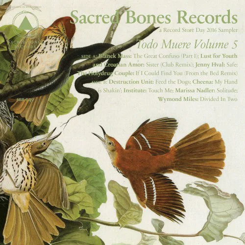 Cover of Various Artists – Todo Muere, Volume 5