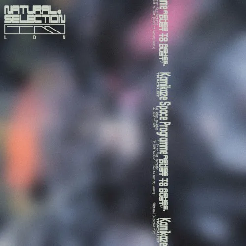 Cover of Kamikaze Space Programme – Ashes to Ashes, Dust to Dust EP
