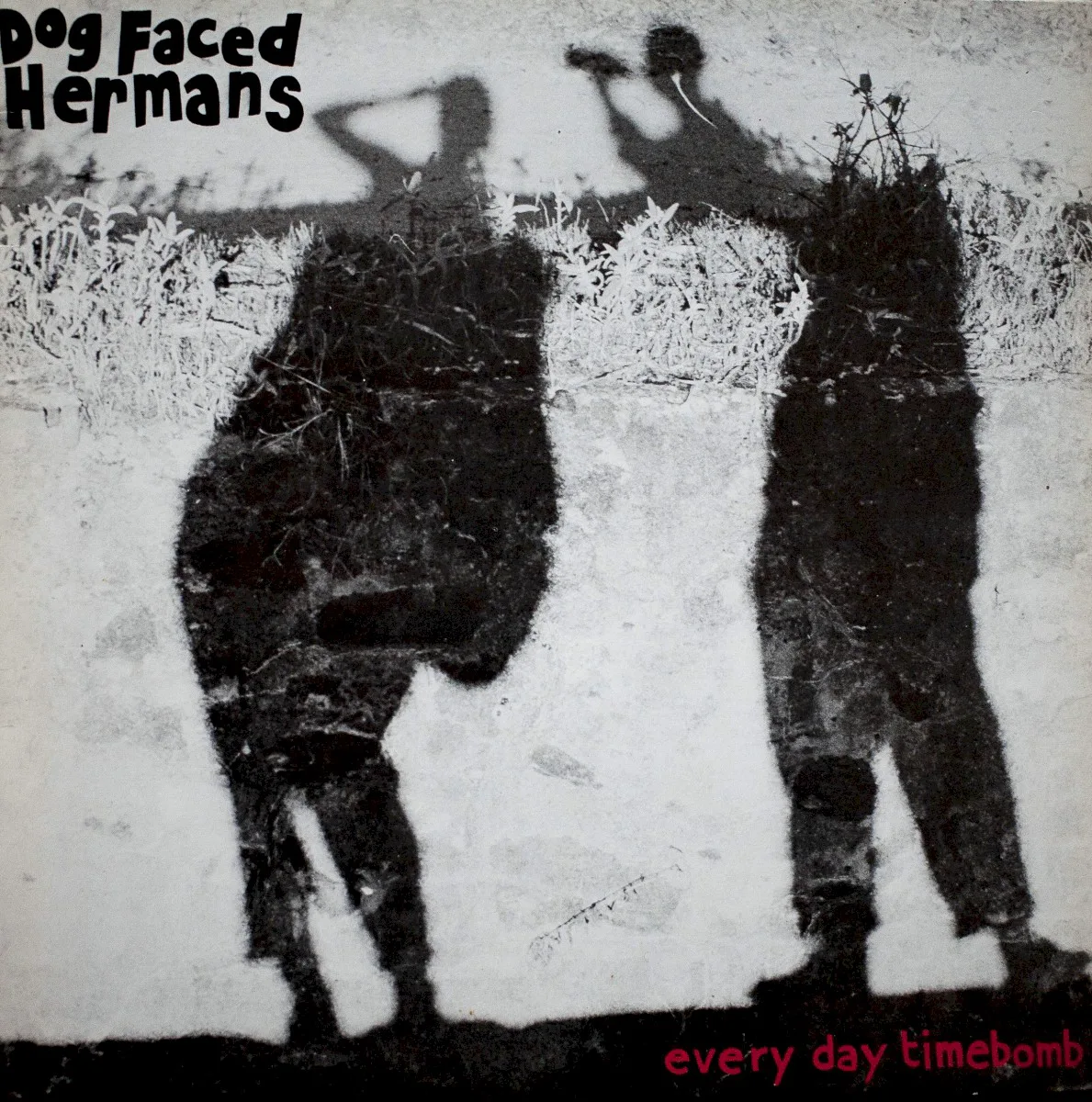 Cover of Dog Faced Hermans – Everyday Timebomb