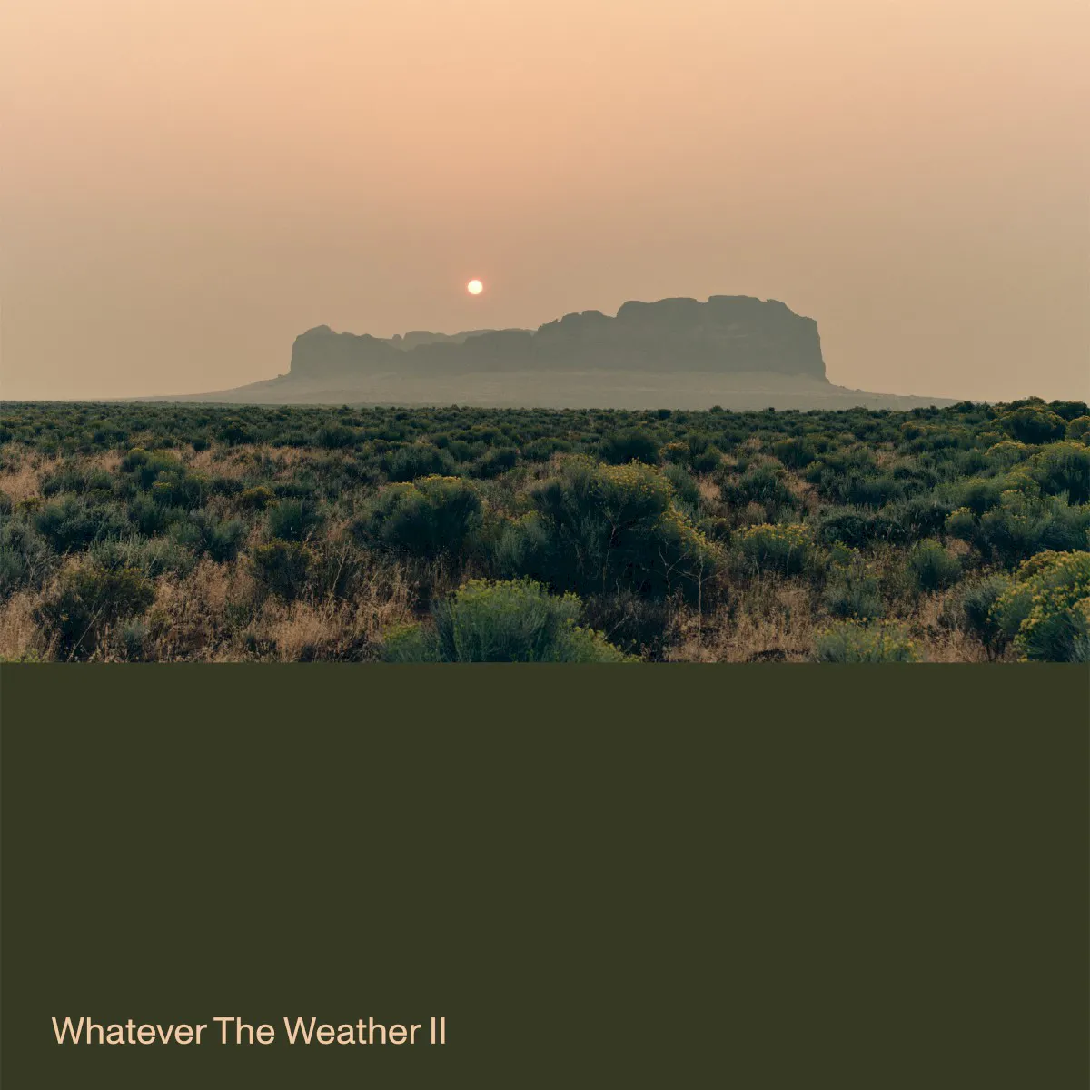 Cover of Whatever the Weather II