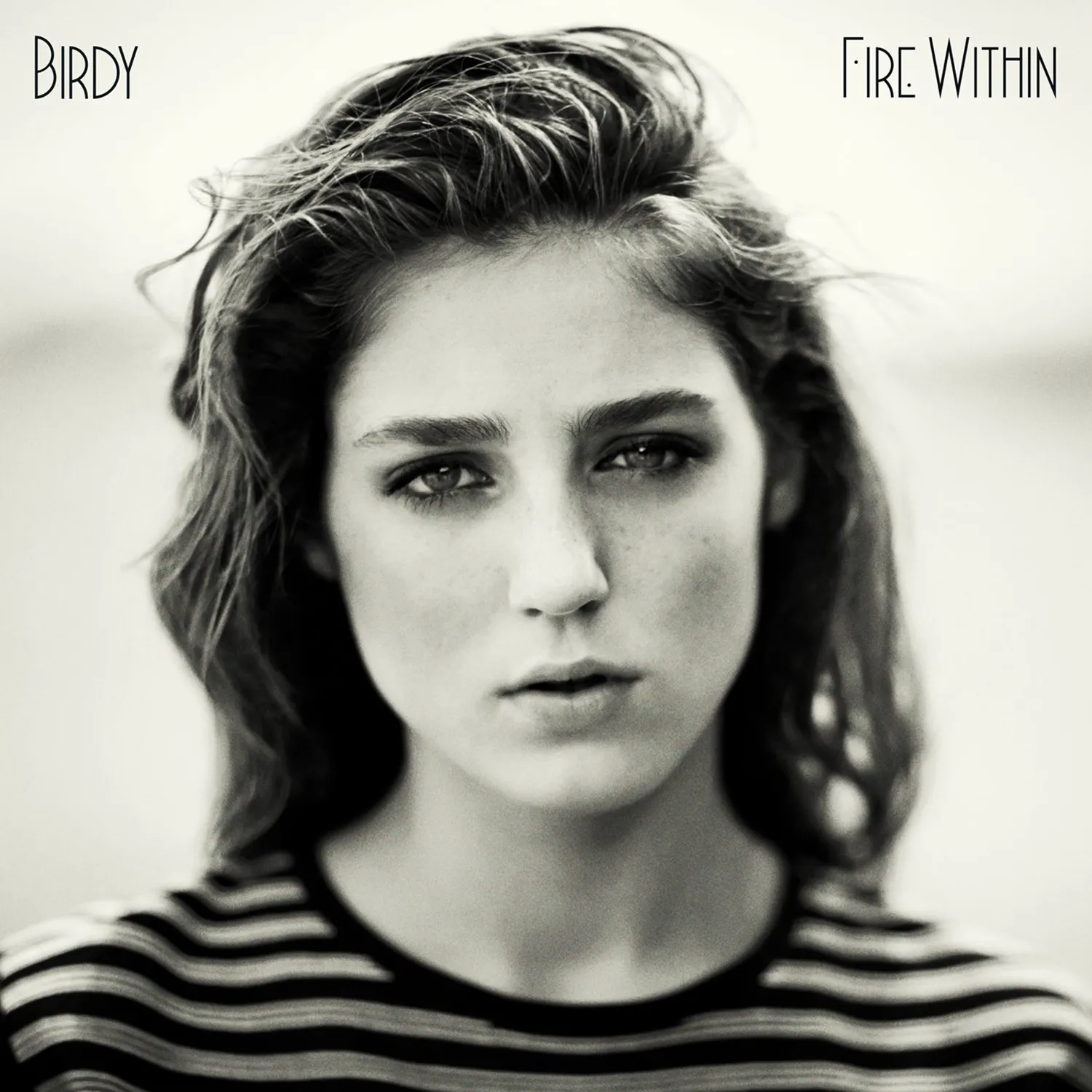 Cover of Fire Within