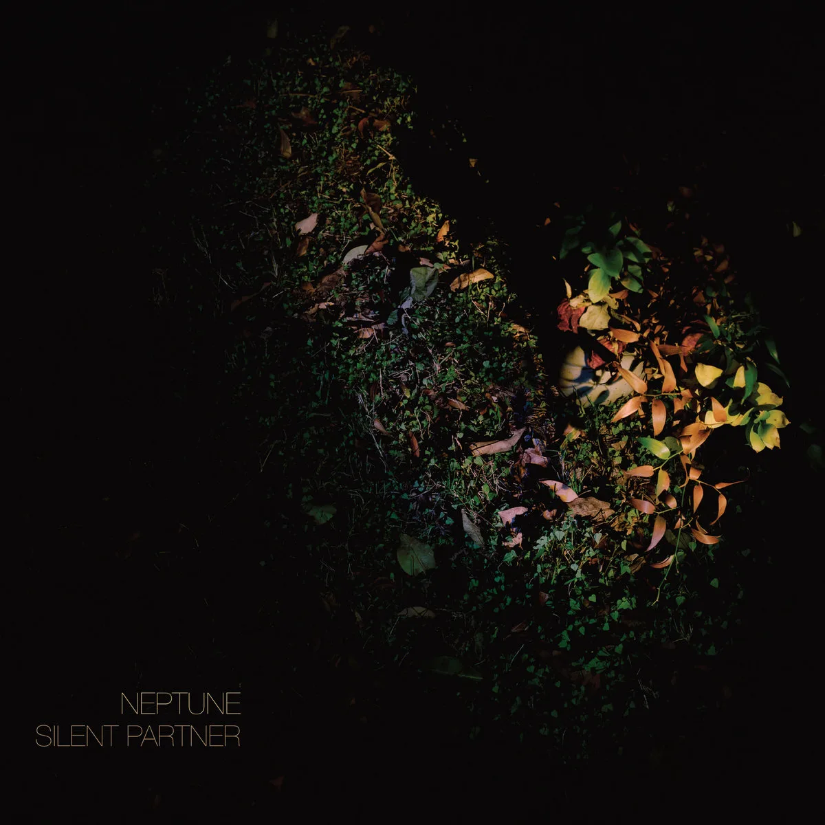 Cover of Neptune – Silent Partner