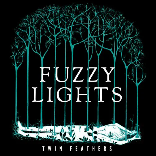 Cover of Fuzzy Lights – Twin Feathers