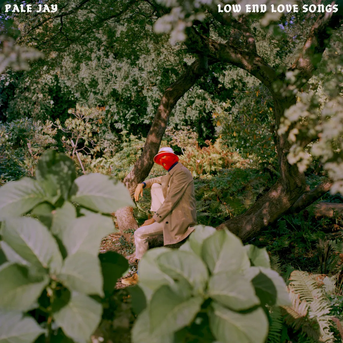 Obal albumu Low End Love Songs