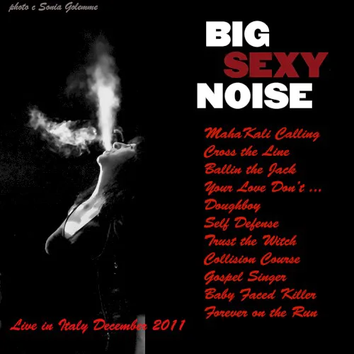 Big Sexy Noise