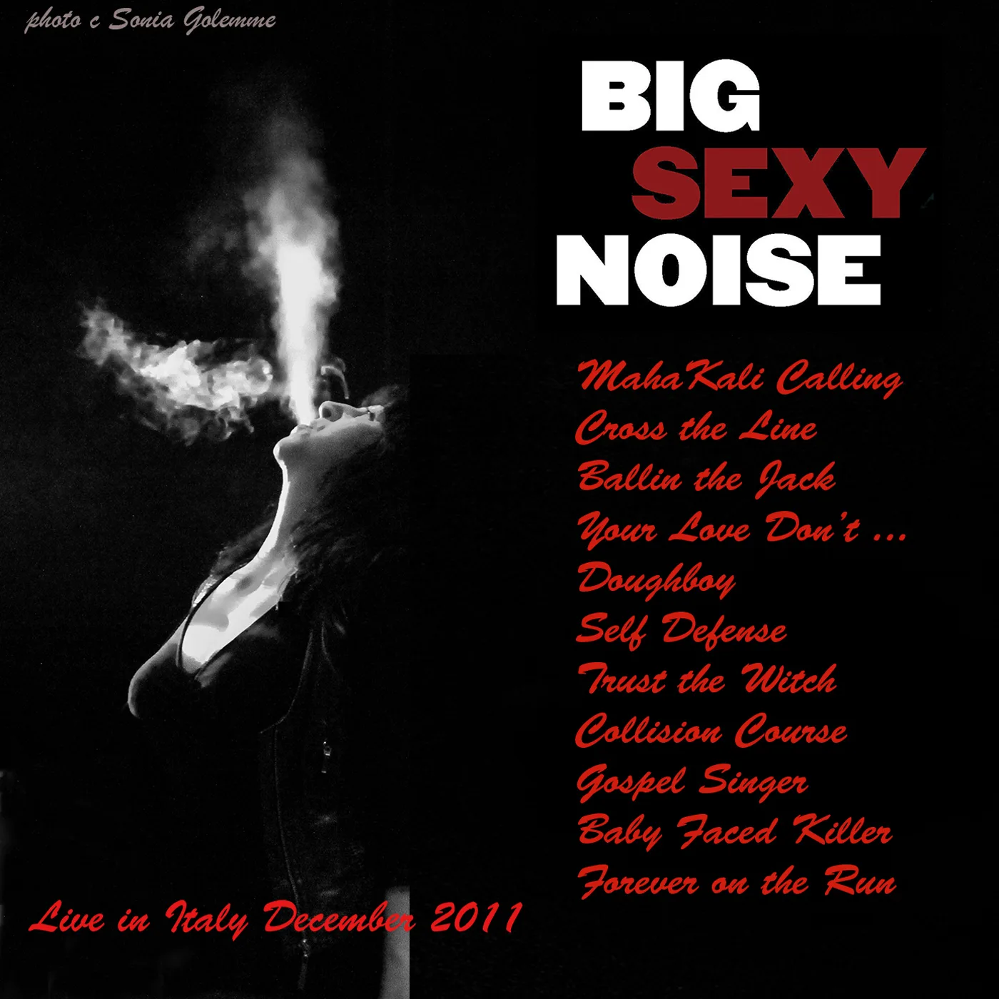 Cover of Big Sexy Noise – Live in Italy December 2011