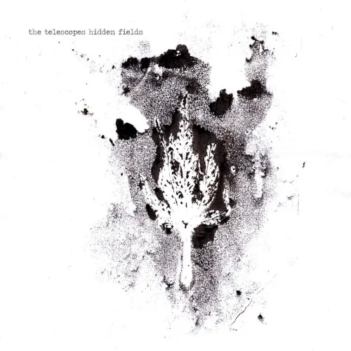Cover of The Telescopes – Hidden Fields