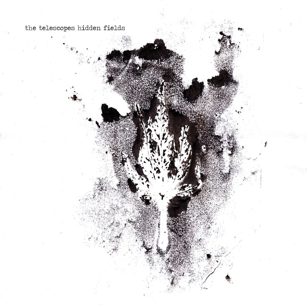 Cover of The Telescopes – Hidden Fields