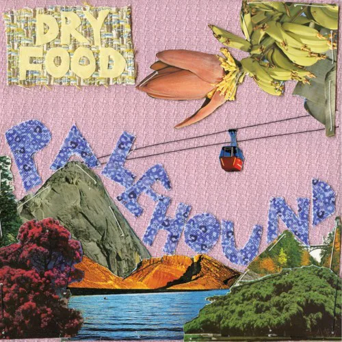 Cover of Palehound – Dry Food
