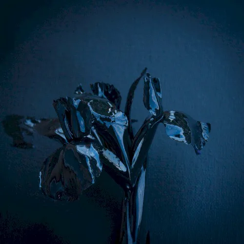 Obal alba A Swarm of the Sun – The Rifts