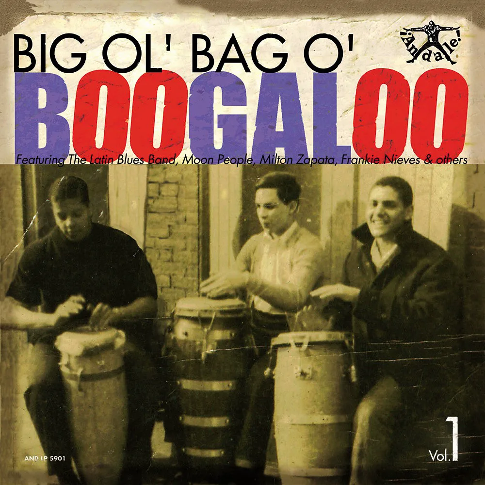 Cover of Various Artists – Big Ol' Bag O' Boogaloo, Vol. 1