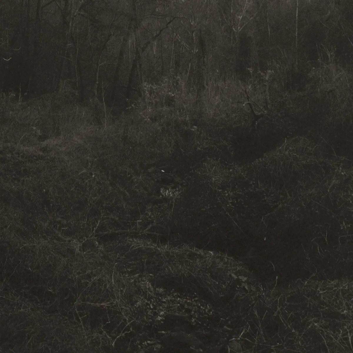 Cover of transient