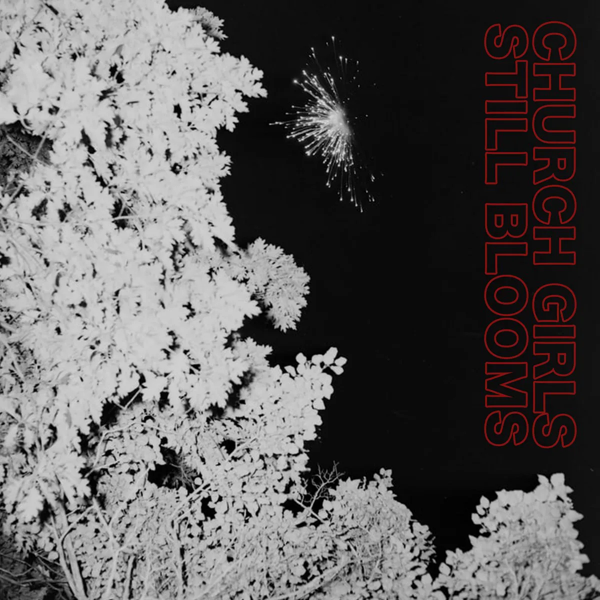Cover of Church Girls – Still Blooms