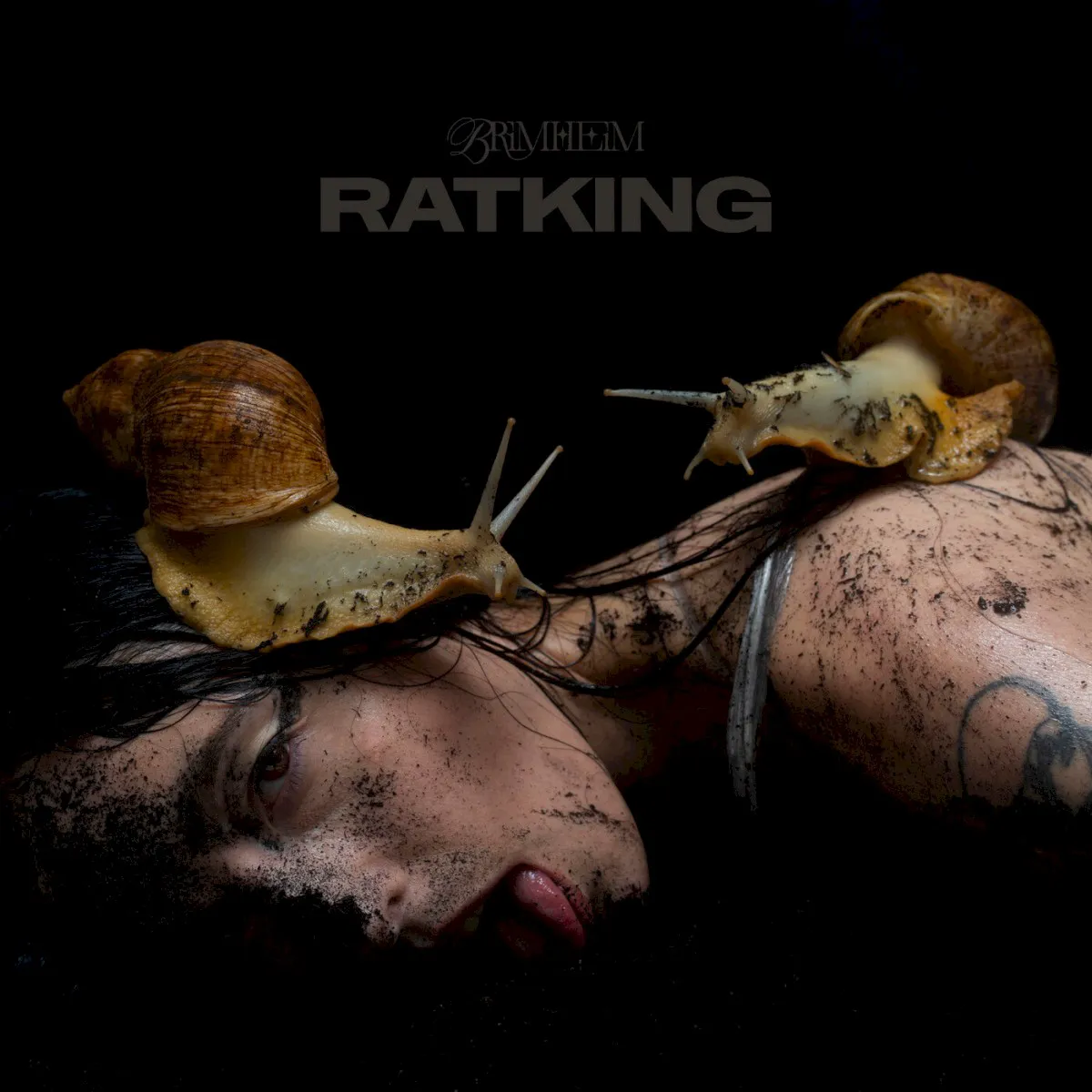 Cover of RATKING