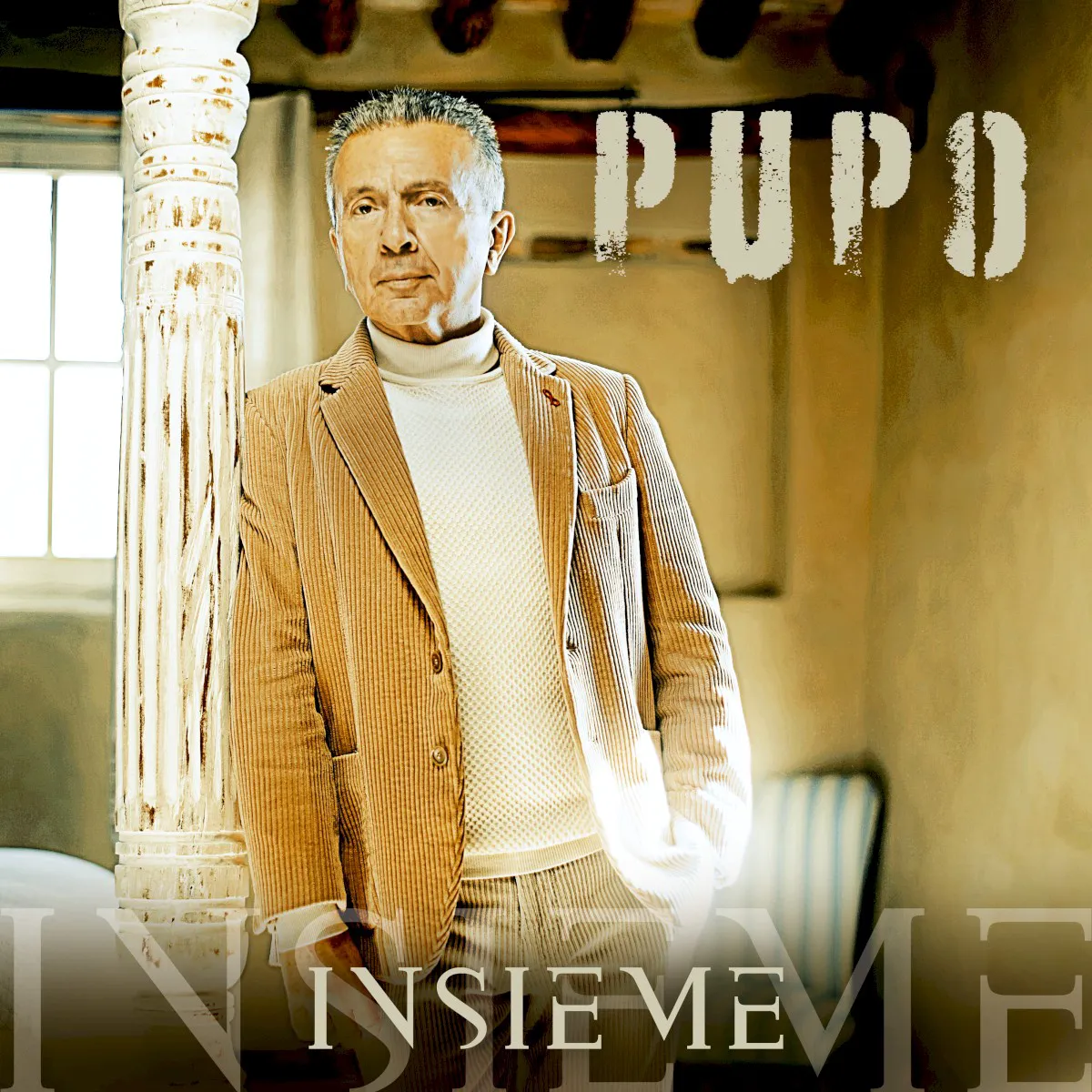 Cover of Insieme