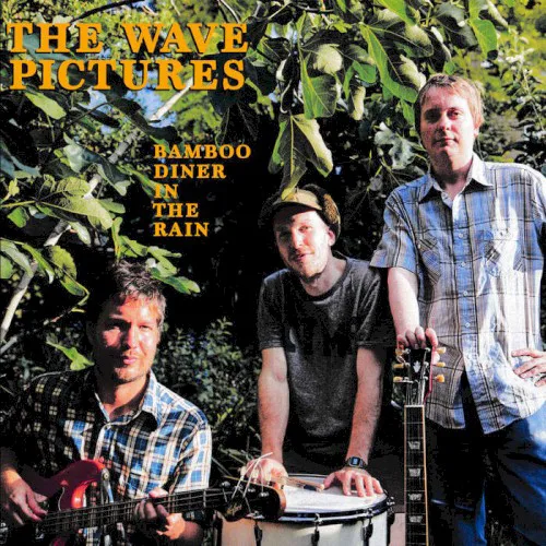 Cover of The Wave Pictures – Bamboo Diner in the Rain