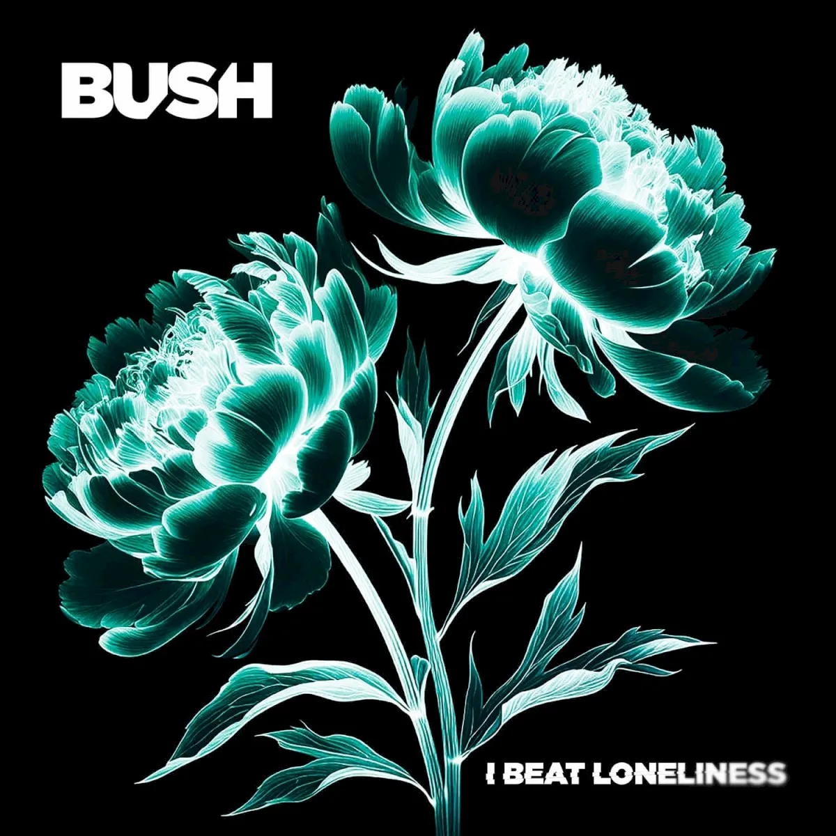 Cover of I Beat Loneliness