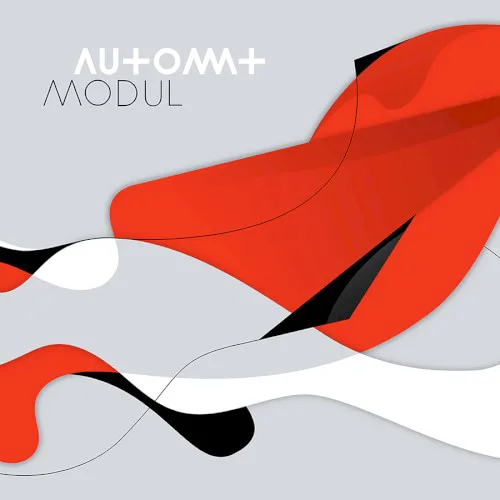 Cover of Automat – Modul