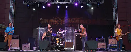 Gin Blossoms