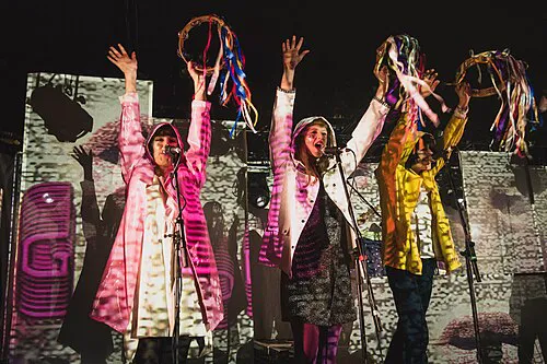 Superorganism