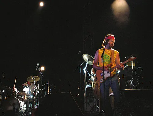Jarabe de Palo