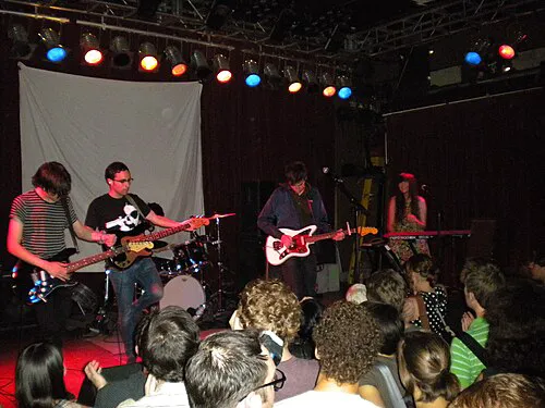 The Pains of Being Pure at Heart
